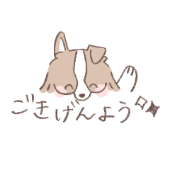 [LINEスタンプ] ボーダーコリーのゆる敬語スタンプ