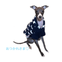 [LINEスタンプ] ゆかいな仲間たち♫
