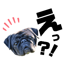 [LINEスタンプ] bob-furi-gan-mu