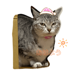[LINEスタンプ] 我が家の優ちゃん♡