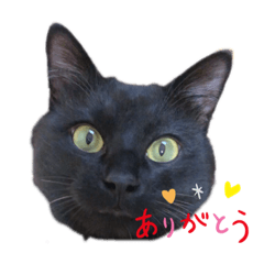 [LINEスタンプ] mm_20200523081702