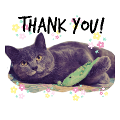 [LINEスタンプ] 我が家のルナちゃん