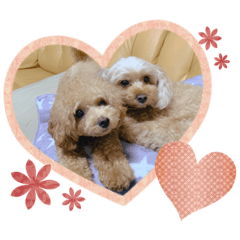 [LINEスタンプ] すーさん家のわんこたち②