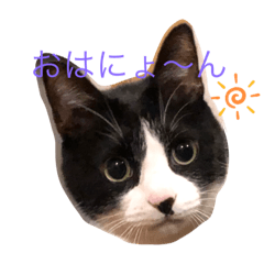 [LINEスタンプ] なーくんといっしょ