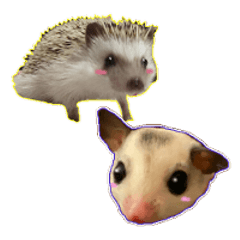[LINEスタンプ] 二枚貝