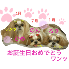 [LINEスタンプ] のんひめるり3ワンs"色々編