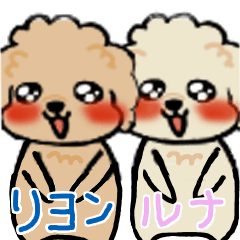 [LINEスタンプ] トイプードルのリヨルナ