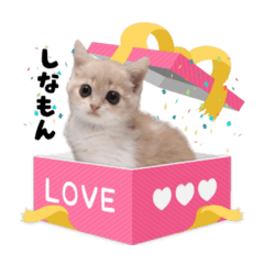 [LINEスタンプ] ムサシっこ1