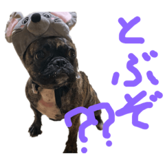 [LINEスタンプ] かいと19940501