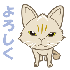 [LINEスタンプ] かぎしっぽのチャトラッシュ