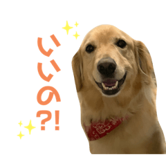 [LINEスタンプ] ららぞうスタンプ1
