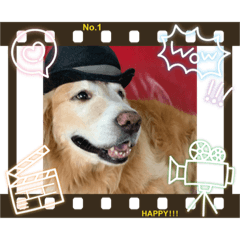 [LINEスタンプ] ゴーデンレトリーバーASLANくんのスタンプ