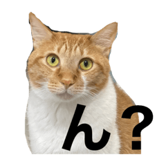 [LINEスタンプ] どーも金太郎です