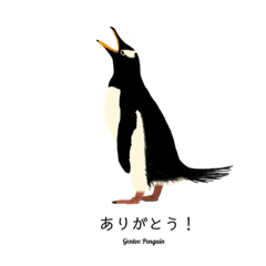 [LINEスタンプ] ペンギンズ全種
