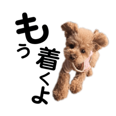 [LINEスタンプ] ☆☆★☆