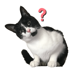 [LINEスタンプ] ようたの日常ステッカー