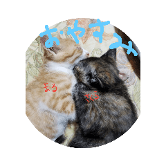 [LINEスタンプ] どうかな！？