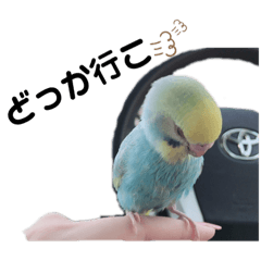 [LINEスタンプ] 山本家のペットたち2
