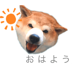 [LINEスタンプ] ゴロのスタンプ