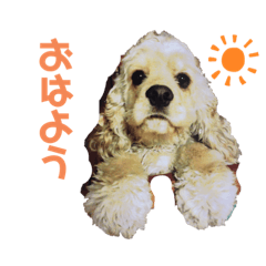 [LINEスタンプ] Mokaちゃんスタンプ2020