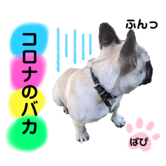 [LINEスタンプ] フレンチブルドッグ‎´•ﻌ•`バビ