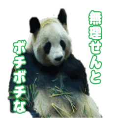 [LINEスタンプ] 色んな動物のスタンプ2020