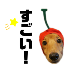 [LINEスタンプ] むぎっくす2