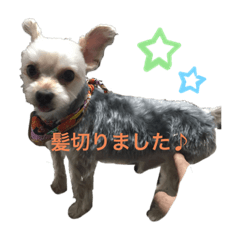 [LINEスタンプ] ラッキー＆ハッピーの日常