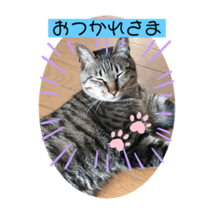 あなたの心に癒しを届けます