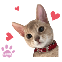 [LINEスタンプ] 麦です。②