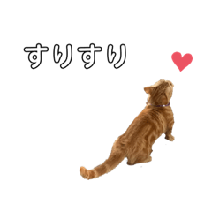 [LINEスタンプ] ちゃちゃのスリスリ