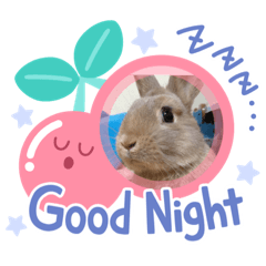 [LINEスタンプ] もっちー！うーたん！