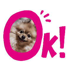 [LINEスタンプ] きくがわみかん3
