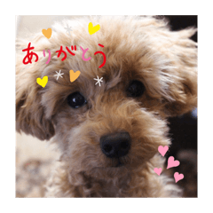 [LINEスタンプ] むぎちゃんの日常1