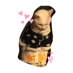 [LINEスタンプ] もふもふファミリー2