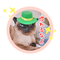 [LINEスタンプ] るーだますたんぷ2