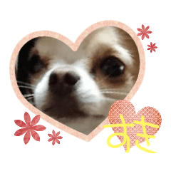[LINEスタンプ] I ♥LOVE プティ2