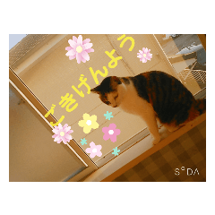 [LINEスタンプ] 天愛来家