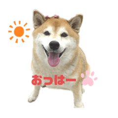 [LINEスタンプ] 苺姫だよ