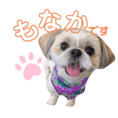 [LINEスタンプ] もなかのまいにち