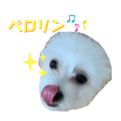 [LINEスタンプ] しろん
