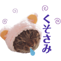 [LINEスタンプ] てんとあられ