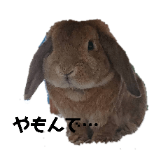 [LINEスタンプ] ちょこちゃんプチちゃん桑名弁