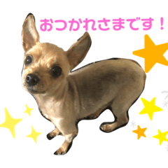 [LINEスタンプ] カイとカムイ