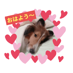 [LINEスタンプ] new アムテラスタンプ