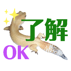 [LINEスタンプ] レオパでご挨拶
