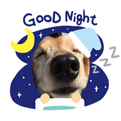 [LINEスタンプ] ASHくん。
