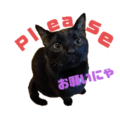 [LINEスタンプ] オルガとミカヅキの日常③