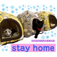 [LINEスタンプ] 猫永一家②
