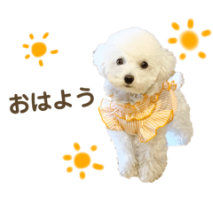 [LINEスタンプ] ていねいなしらたま